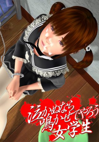 泣かぬなら 鳴かせてやろう 女学生/ご主人様だーいすき【美少女ゲームアワード2008 エロス系作品賞優秀賞受賞】他
