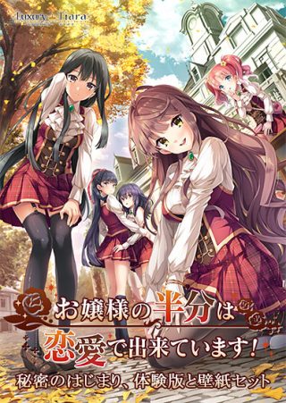 【0円】お嬢様の半分は恋愛で出来ています！秘密のはじまり、体験版と壁紙セット/真・恋姫†英雄譚2 ～乙女艶乱☆三国志演義［魏］～他