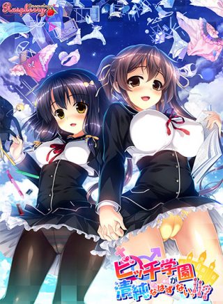 ビッチ学園が清純なはずがないっ！！？ DL版限定パッチ付き 【電動オナホール対応】/夏色姉妹 ～幼馴染と真夏のヒメゴト～他